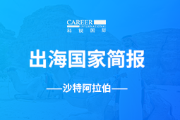 k8凯发国际GO GLOBAL | 沙特阿拉伯国家简报